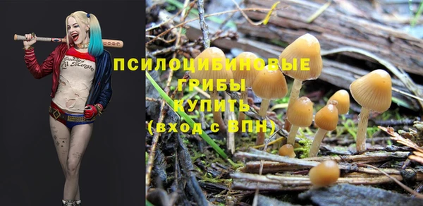 каннабис Ельня